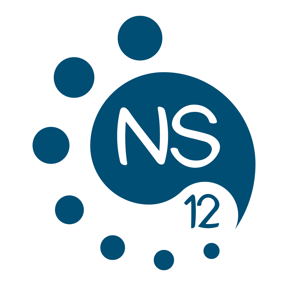 logo NS12 1.2-20